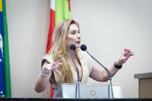 - Deputada Paulinha (Podemos)