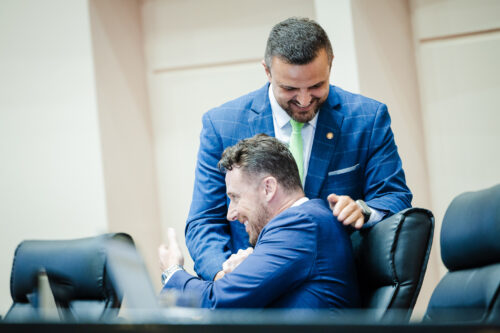 - Deputado Lucas Neves (PODEMOS)
- Deputado Fernando Krelling (MDB)