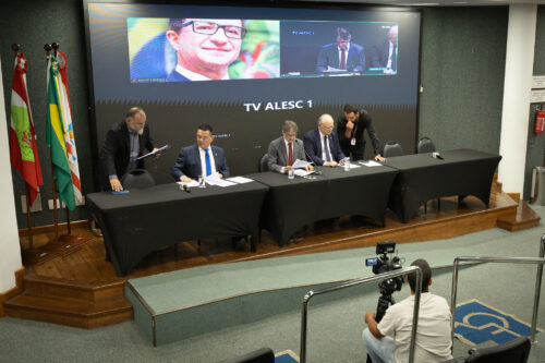 - Deputado Mauricio Peixer (PL)	
- Deputado Neodi Saretta (PT) 	
 - Deputado Dr. Vicente Caropreso (PSDB)