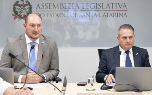 - Deputado Mauro de Nadal (MDB) 	
 - Deputado Altair Silva (PP)