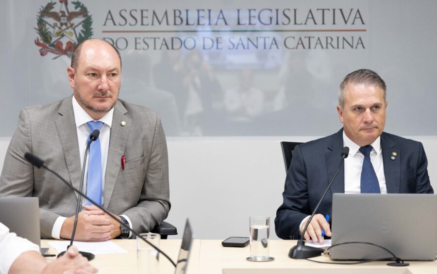 - Deputado Mauro de Nadal (MDB) 	
 - Deputado Altair Silva (PP)