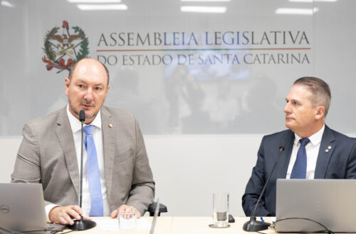 - Deputado Mauro de Nadal (MDB) 	
 - Deputado Altair Silva (PP)