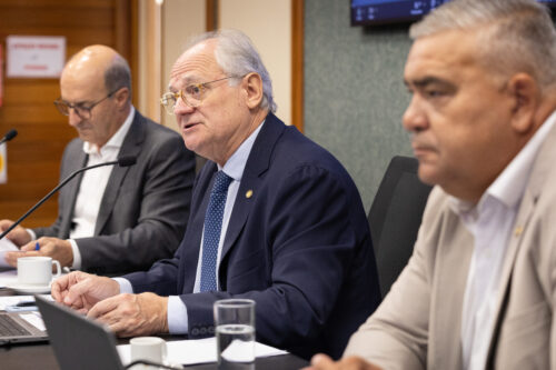 - Deputado José Milton Scheffer (PP)- Deputado Dr. Vicente Caropreso (PSDB) - Deputado Sargento Lima (PL)