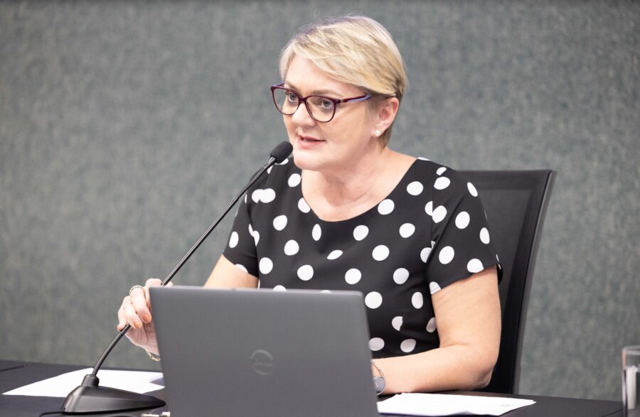 - Deputada Luciane Carminatti (PT)