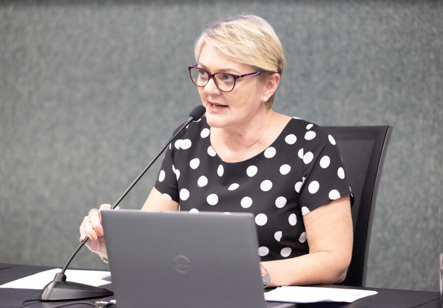 - Deputada Luciane Carminatti (PT)