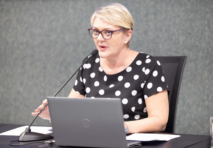 - Deputada Luciane Carminatti (PT)