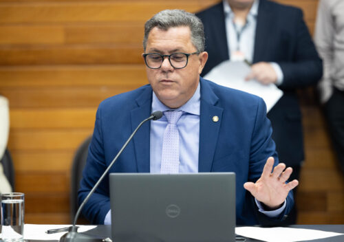 - Deputado Ivan Naatz (PL)