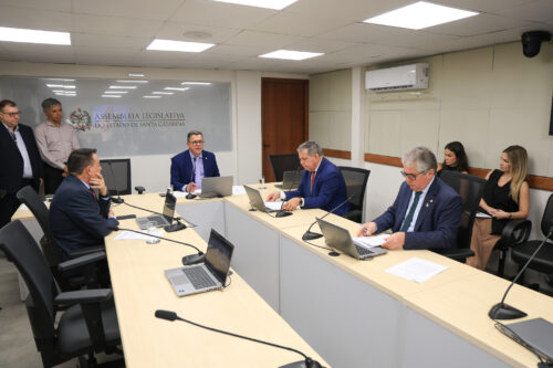 - Deputado Mauricio Peixer (PL)	
- Deputado Ivan Naatz (PL)
- Deputado Mário Motta (PSD)
 - Deputado Tiago Zilli (MDB)