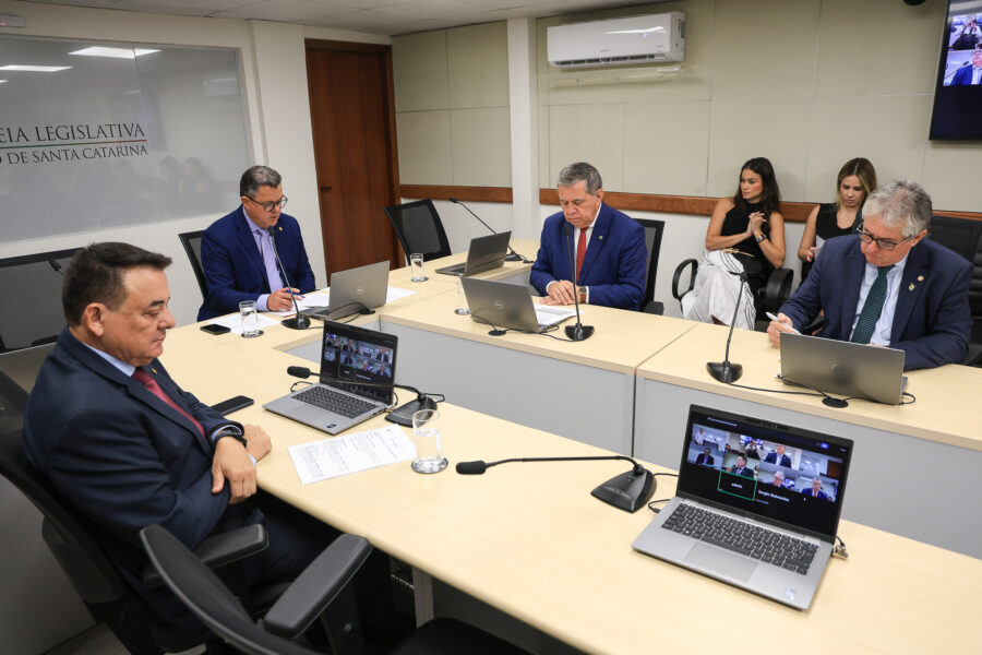 - Deputado Mauricio Peixer (PL)	
- Deputado Ivan Naatz (PL)
 - Deputado Mário Motta (PSD)
 - Deputado Tiago Zilli (MDB)