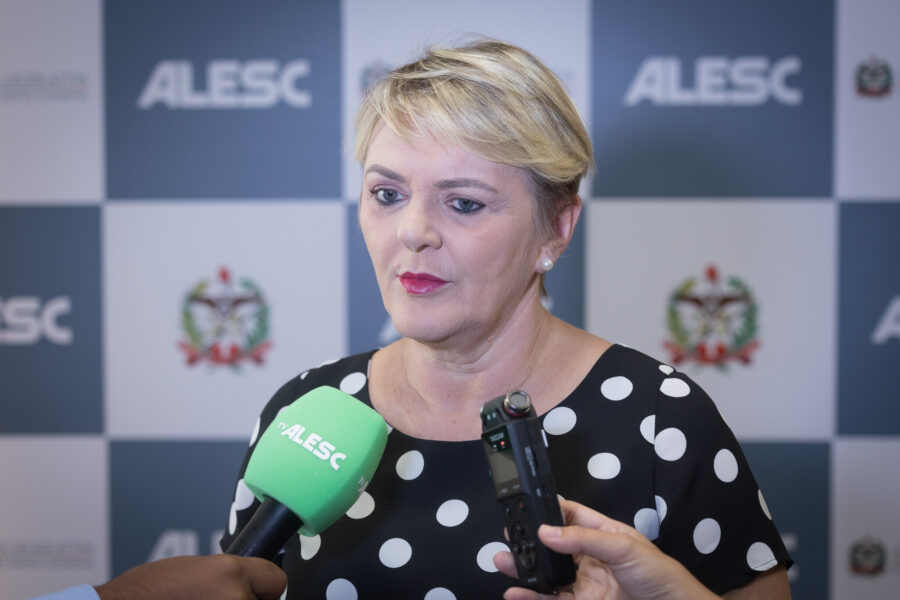 - Deputada Luciane Carminatti (PT)