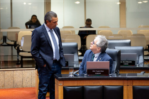 - Deputado Julio Garcia (PSD) 	
 - Deputado Tiago Zilli (MDB)