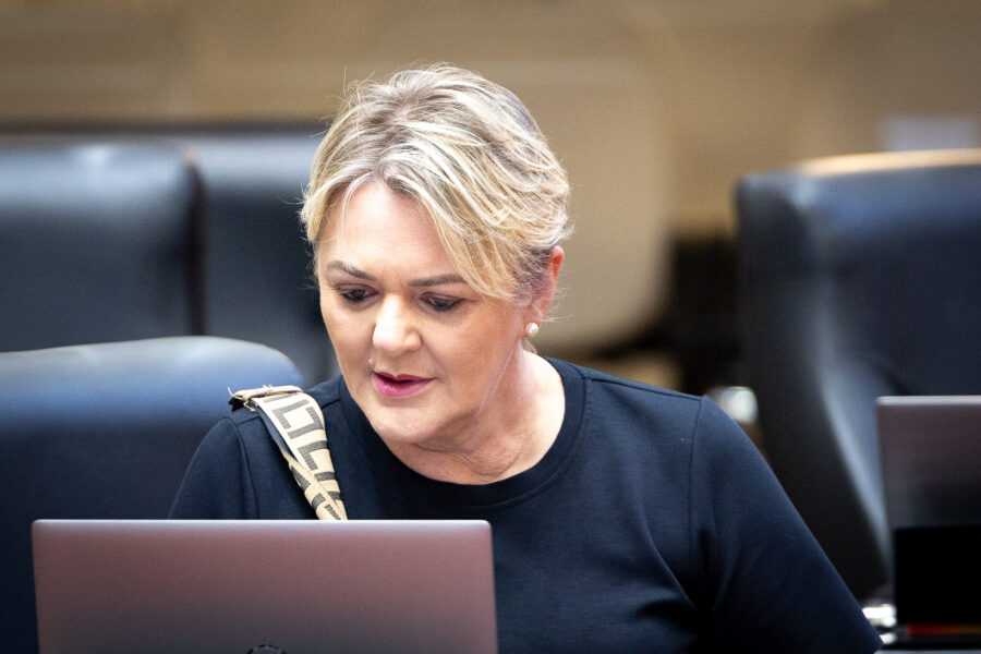 - Deputada Luciane Carminatti (PT)