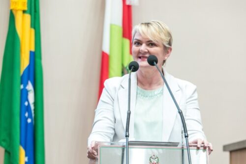Luciane Carminatti alerta para gargalos da educação em SC e cobra prioridades do governo em 2026