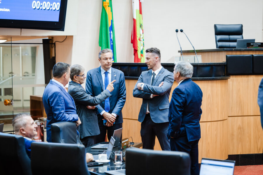 - Deputado Mauricio Peixer (PL)	
 - Deputado Neodi Saretta (PT) 	
 - Deputado Napoleão Bernardes (PSD) 	
 - Deputado Fernando Krelling (MDB) 	
 - Deputado Mário Motta (PSD)
