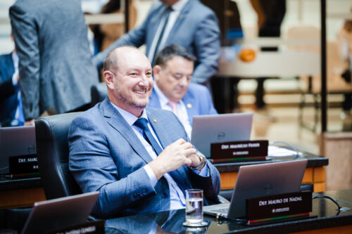 - Deputado Mauro de Nadal (MDB)