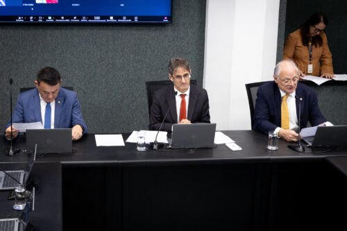 - Deputado Maurício Peixer (PL)
- Deputado Neodi Saretta (PT) 	
 - Deputado Dr. Vicente Caropreso (PSDB)
