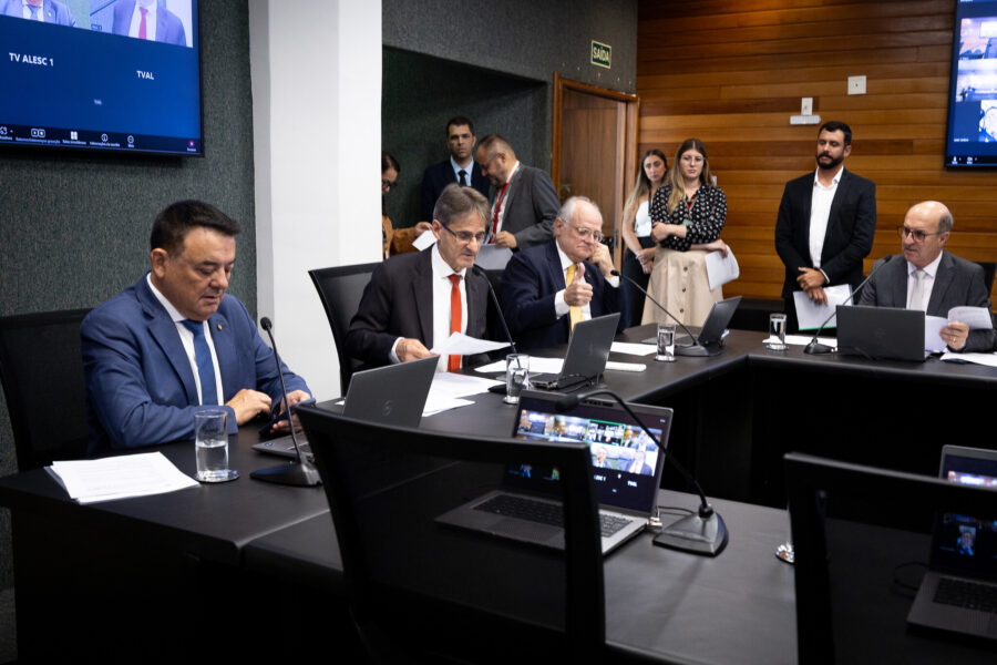 - Deputado Maurício Peixer (PL)
- Deputado Neodi Saretta (PT) 	
 - Deputado Dr. Vicente Caropreso (PSDB)