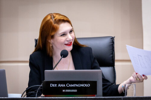 - Deputada Ana Campagnolo (PL)
