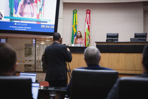 Deputados cobram mais rigor na responsabilização de autores de crimes contra mulheres