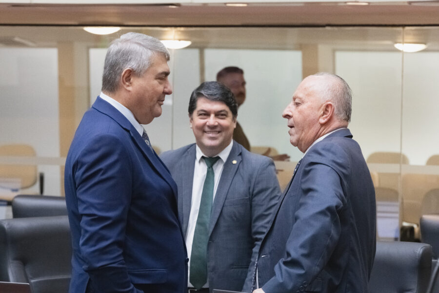 - Deputado Emerson Stein (MDB)
 - Deputado Oscar Gutz (PL)