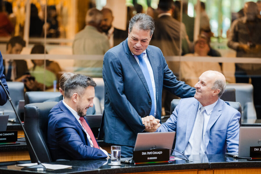Deputado -   RODRIGO MINOTTO (PDT)
