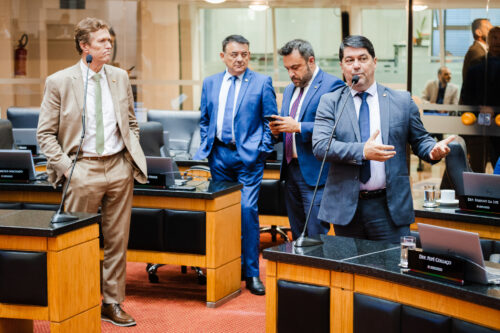 Deputado - EMERSON STEIN (MDB)