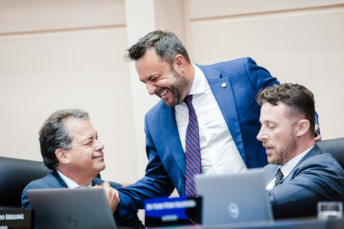 Deputado -   RODRIGO MINOTTO (PDT) Deputado -   MARCIUS MACHADO (PL) Deputado - FERNANDO KRELLING (MDB)