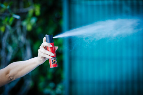 Finanças aprova projeto que garante spray de pimenta para mulheres sob medida protetiva