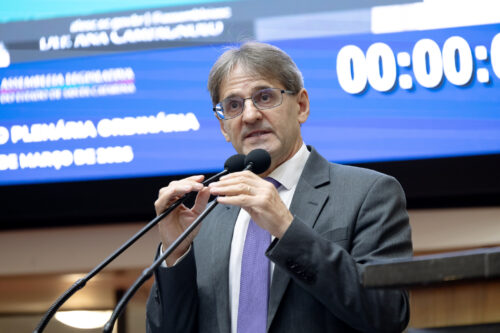 Saretta alerta Estado e municípios para regulamentar inclusão de profissionais da educação infantil no magistério