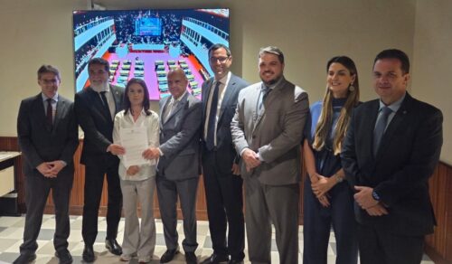 Saretta e presidentes das Comissões de Saúde de outros estados articulam melhorias para o SUS