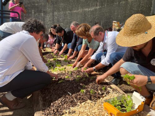 Agrofloresta da Alesc entra na fase prática com primeiro workshop na Unidade Administrativa