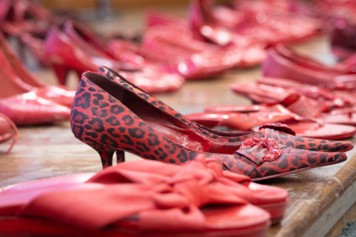 Santa Catarina avança no enfrentamento à violência contra a mulher