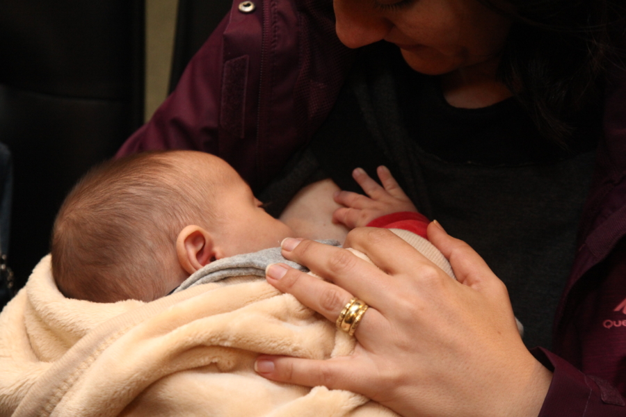 Evento está com inscrições abertas no site da Escola do Legislativo da Alesc