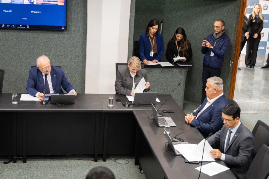 Comissão delibera iniciativas para fortalecimento de políticas públicas para pessoas com deficiência