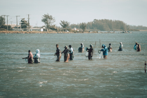 25 de Maio – Dia Estadual da Preservação do Boto Pescador