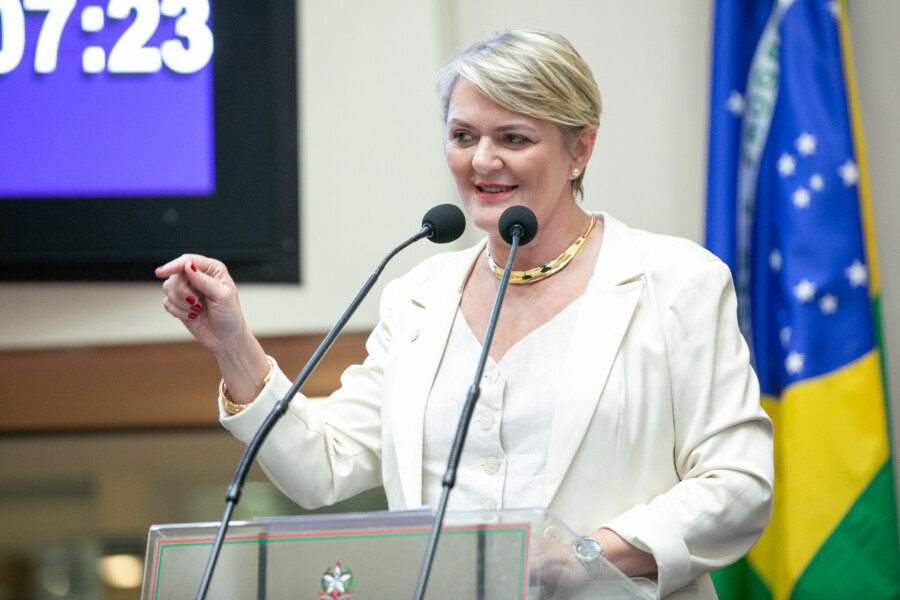 Luciane culpa governo por queda nos índices de alfabetização infantil em SC
