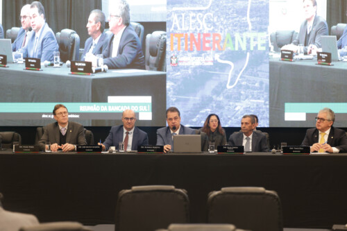 Deputados da Comissão de Defesa dos Direitos da Criança e do Adolescente, durante reunião do colegiado em Ararangá