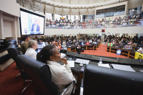 Visita da ministra da Cultura, Margareth Menezes – Plenário