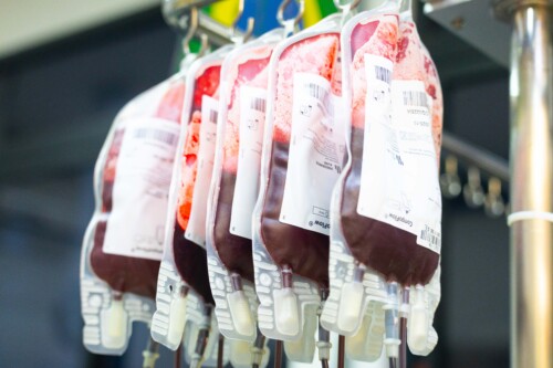 Doação de sangue – Hemosc
