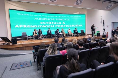 Audiência pública debate vagas para jovem aprendiz como caminho para combater trabalho infantil e formar mão de obra qualificada em SC