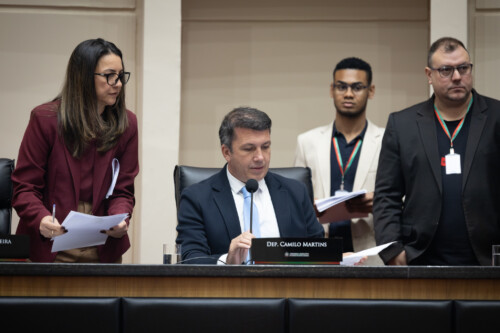 Comissão de Esportes e Lazer