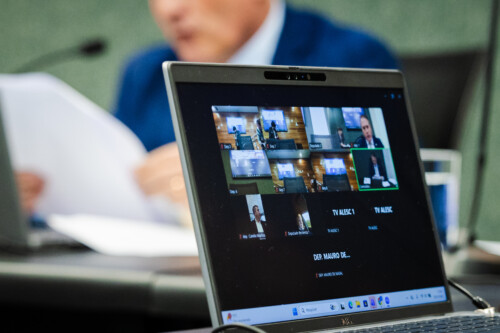 Comissão de Agricultura aprova projetos sobre a Rota das Oliveiras e controle do javali-europeu