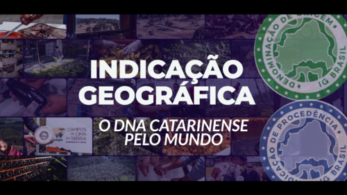 Indicação Geográfica