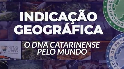 Indicação Geográfica