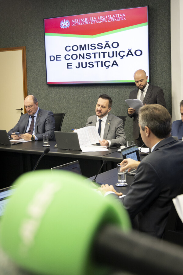 Comissão de Constituição e Justiça.